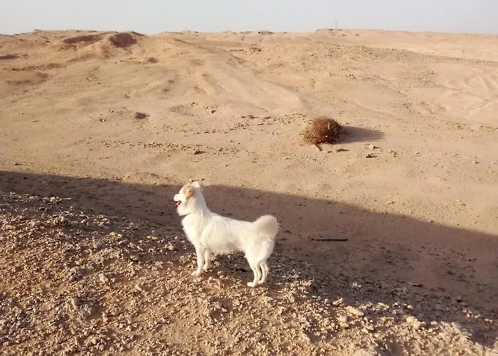 Orientalna Oda ve Kahvaltı Hurgada