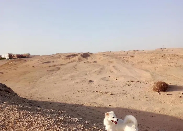 Oda ve Kahvaltı Orientalna